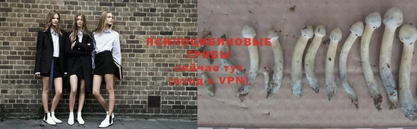 a pvp Зеленодольск