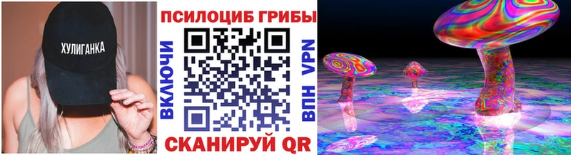 Псилоцибиновые грибы MAGIC MUSHROOMS  Купить где  Богданович 